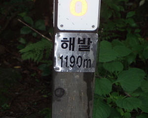 1박2일 산악극기캠프 - 소백산 탐험